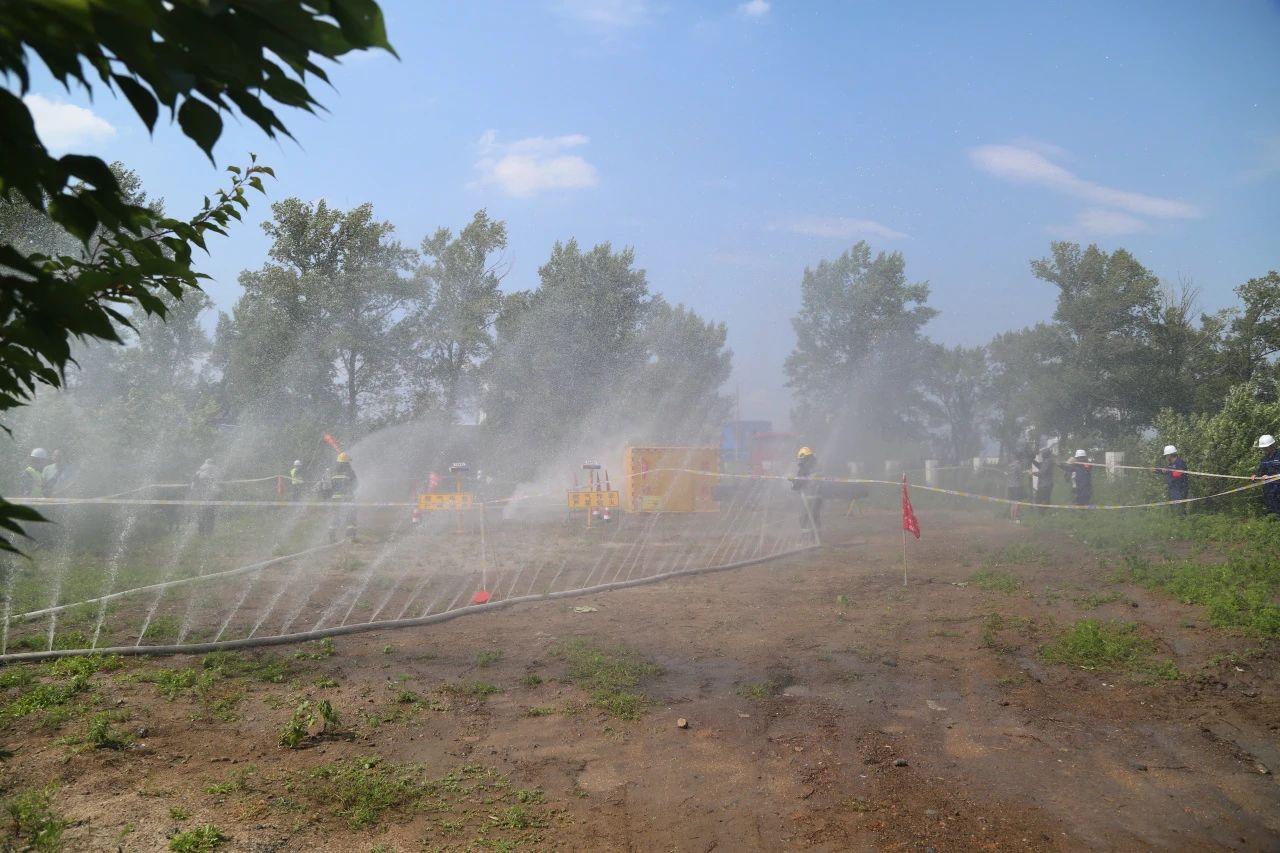 1721382526892435.jpg 3.jpg